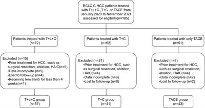 Efficacy and safety of transarterial chemoembolization combined with lenvatinib and camrelizumab in patients with BCLC-defined stage C hepatocellular carcinoma